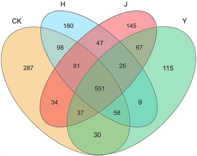 The co-inoculation of Pseudomonas chlororaphis H1 and Bacillus altitudinis Y1 promoted soybean [Glycine max (L.) Merrill] growth and increased the relative abundance of beneficial microorganisms in rhizosphere and root